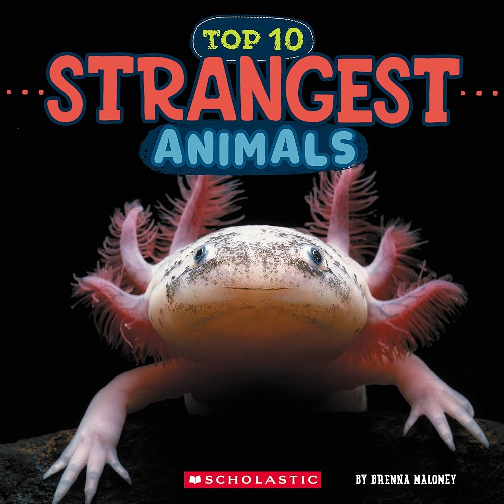 Strangest Animals (Wild World: Top 10) cover image