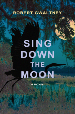 Sing Down the Moon cover image
