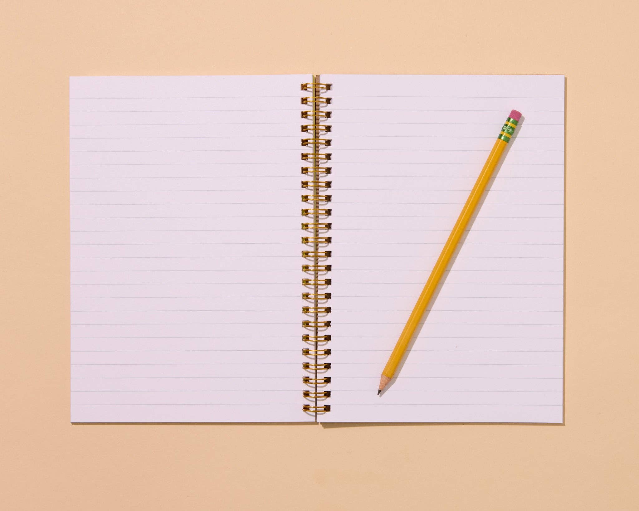 Sardine Fish Spiral Notebook